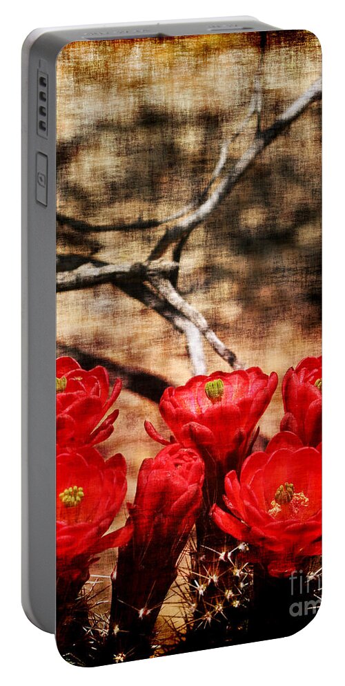 Cactus Portable Battery Charger featuring the photograph Cactus Flowers 2 by Julie Lueders 