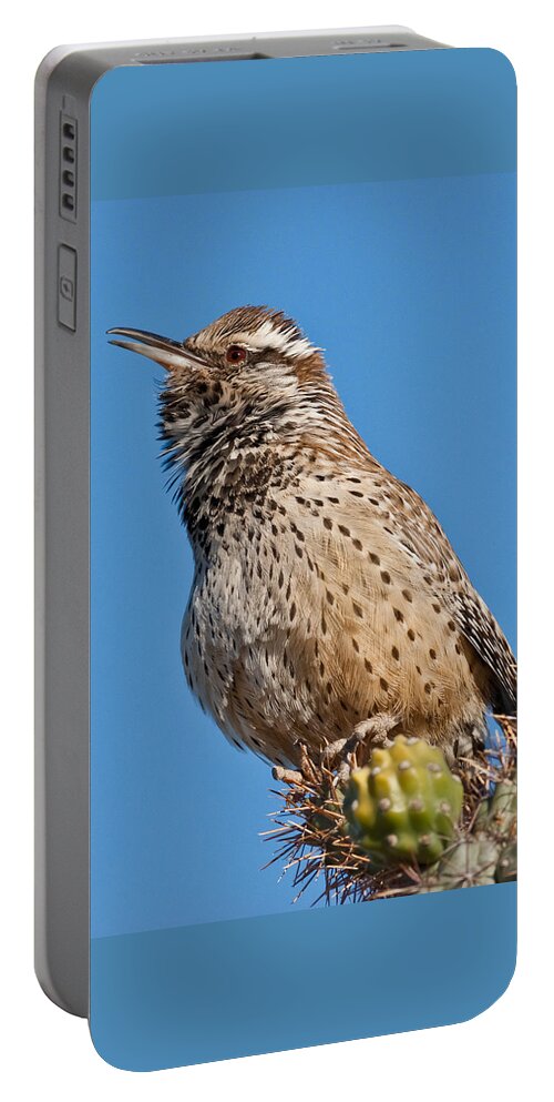 Animal Portable Battery Charger featuring the photograph Cactus Wren Singing by Jeff Goulden