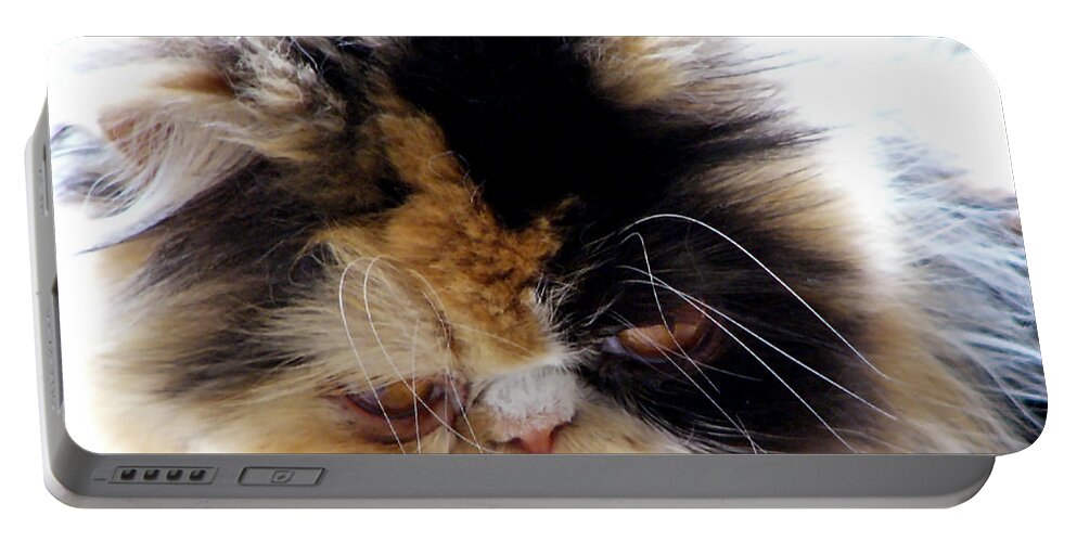 Nature Portable Battery Charger featuring the photograph Cali the Dreamer by Rhonda McDougall