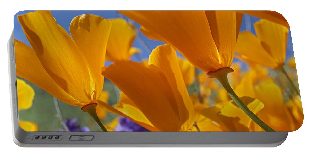 00176982 Portable Battery Charger featuring the photograph California Poppies by Tim Fitzharris