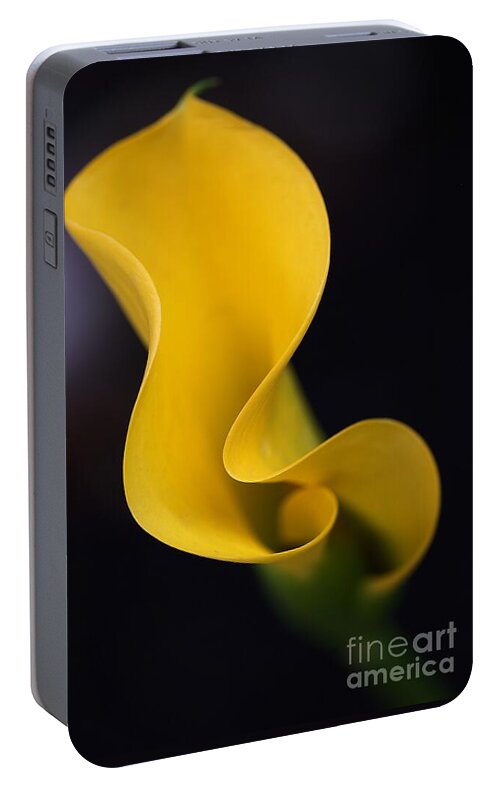 Zantedeschia Aethiopica Portable Battery Charger featuring the photograph Calla Lily by Joy Watson
