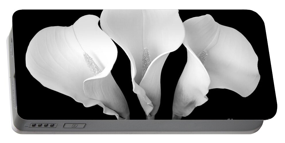 Cally Lily Portable Battery Charger featuring the photograph Calla Lily Trio in Black and White by Mary Deal