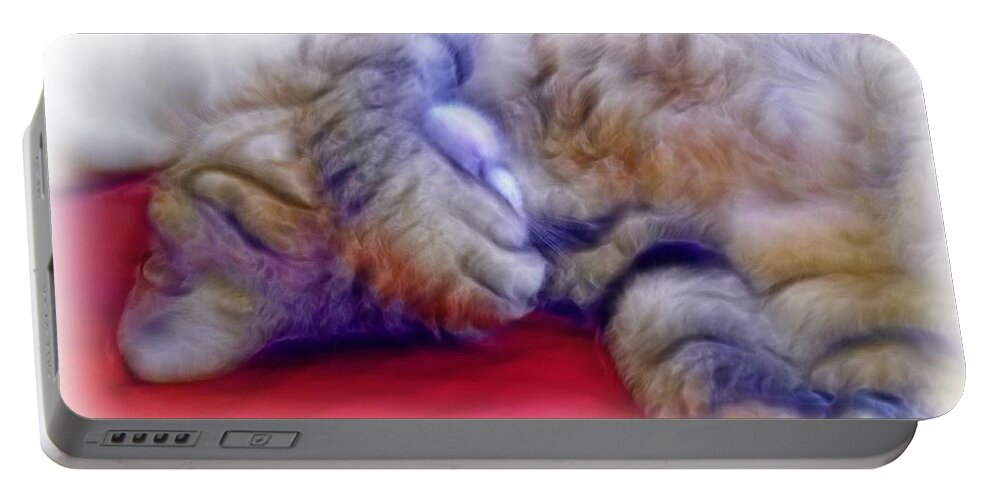 Cat Portable Battery Charger featuring the photograph Camera Shy Kitty by Lilia D