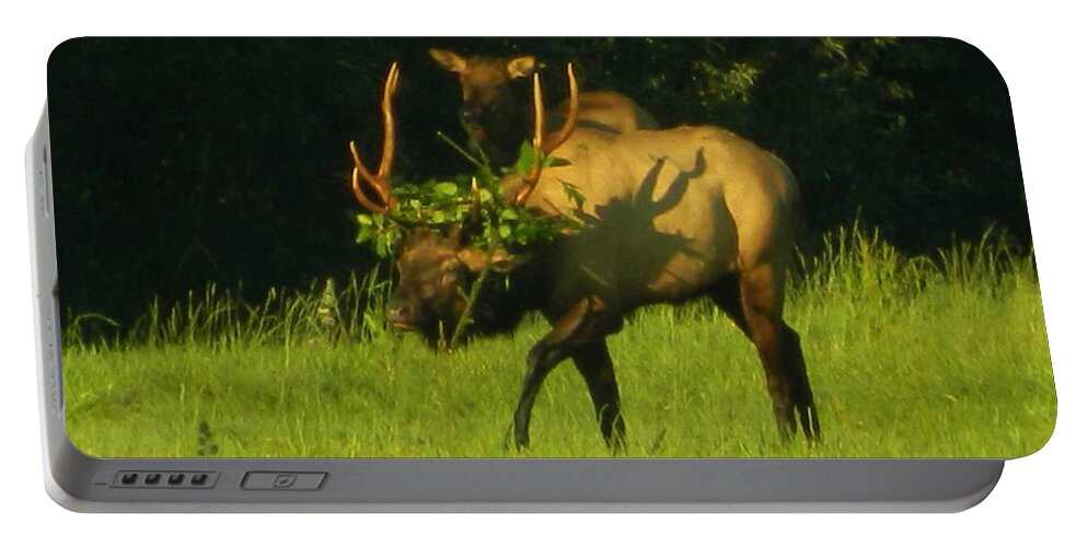Elk Portable Battery Charger featuring the photograph Camoflaged Elk With Shadows by Gallery Of Hope