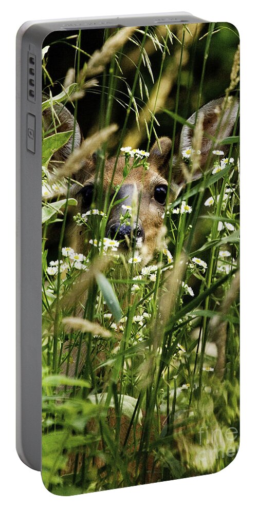 White Tail Deer Portable Battery Charger featuring the photograph Can you see Me by Jan Killian