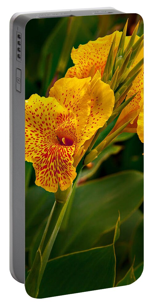 Canna Portable Battery Charger featuring the photograph Canna Blossom by Mary Jo Allen