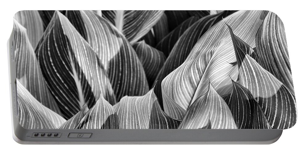 Canna Portable Battery Charger featuring the photograph Canna Lilies in Monochrome by Jason Politte