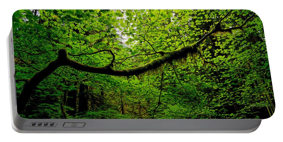 Washington Portable Battery Charger featuring the photograph Canopy by Dustin LeFevre