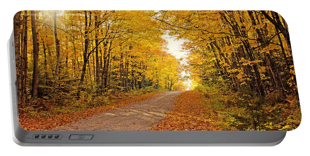 Fall Foliage Portable Battery Charger featuring the photograph Canopy of Fall by Gwen Gibson