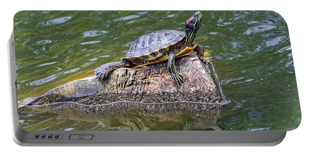 Animal Portable Battery Charger featuring the photograph Captain Turtle by Kate Brown