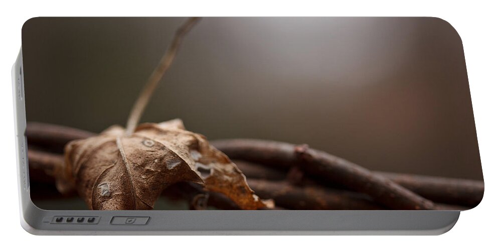 Leaf Portable Battery Charger featuring the photograph Captured by Shane Holsclaw