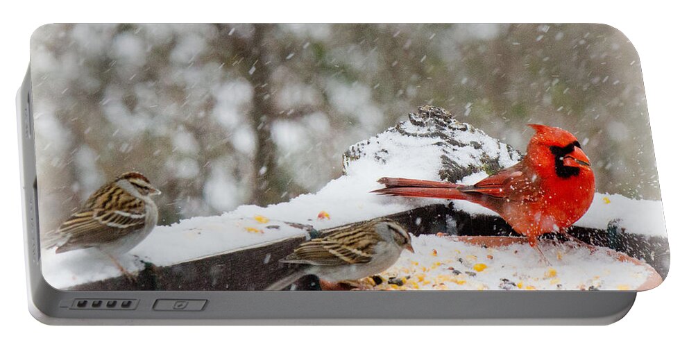 Sandra Clark Portable Battery Charger featuring the photograph Cardinal and Sparrows in the Snow by Sandra Clark