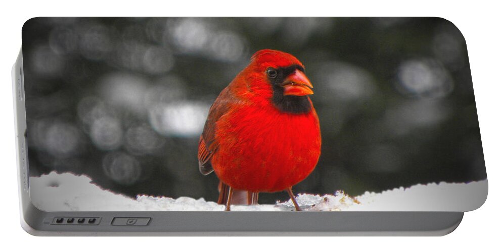 Cardinal Portable Battery Charger featuring the photograph Cardinal In The Snow by Sandi OReilly