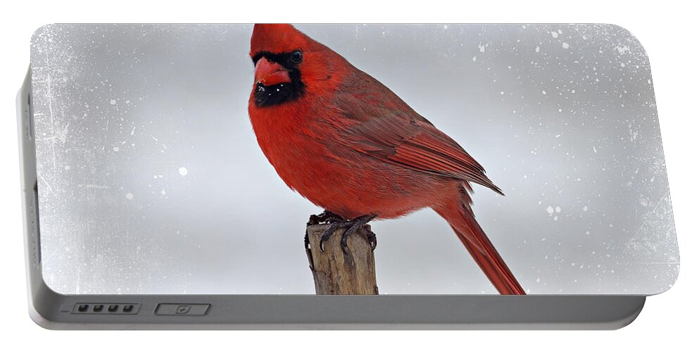 Cardinal Portable Battery Charger featuring the photograph Cardinal Perching by Sandy Keeton