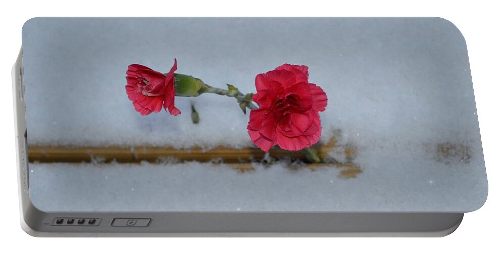 Carnation Greetings Portable Battery Charger featuring the photograph Carnations in Snow by Sonali Gangane