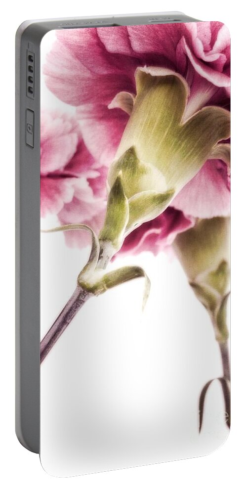 Modern Portable Battery Charger featuring the photograph Carnations by Priska Wettstein