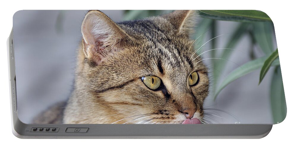 Cat; Cats; Feline; Tabby; Animal; Sit; Sitting; Rest; Resting; Free; Alone; Greece; Hellas; Greek; Hellenic; Athens; Yellow; Eyes; Portrait; Tongue; Pink; Red Portable Battery Charger featuring the photograph Cat in Athens by George Atsametakis