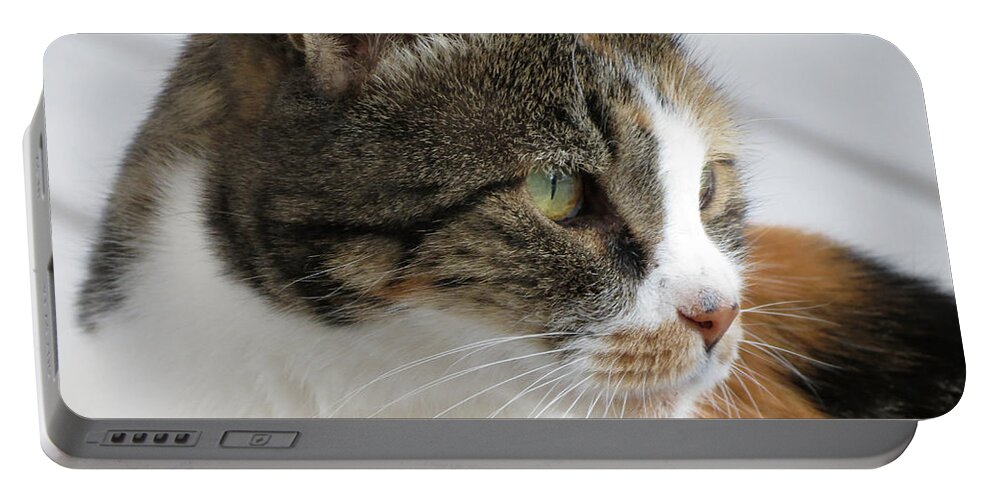 Cat Portable Battery Charger featuring the photograph Cat by Laurel Powell