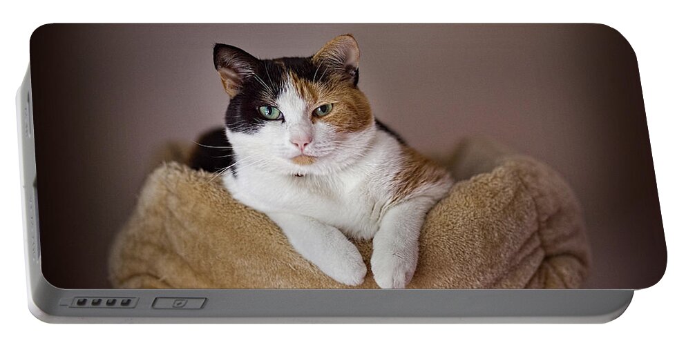 Cat Portable Battery Charger featuring the photograph Cat Portrait by Ian Good