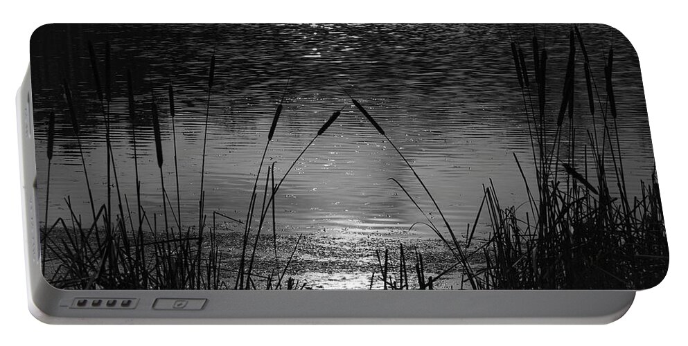 Cattails Portable Battery Charger featuring the photograph Cattails 3 by Susan McMenamin