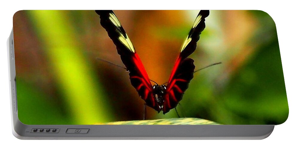 Nature Portable Battery Charger featuring the photograph Cattleheart Butterfly by Amy McDaniel