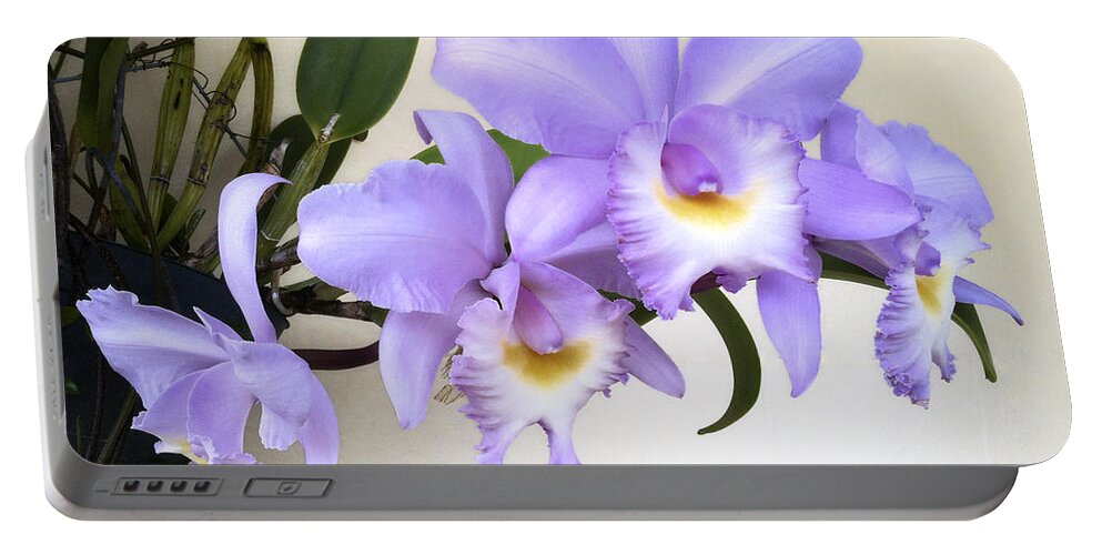 Orchid Portable Battery Charger featuring the photograph Cattleya Orchid by Bradford Martin