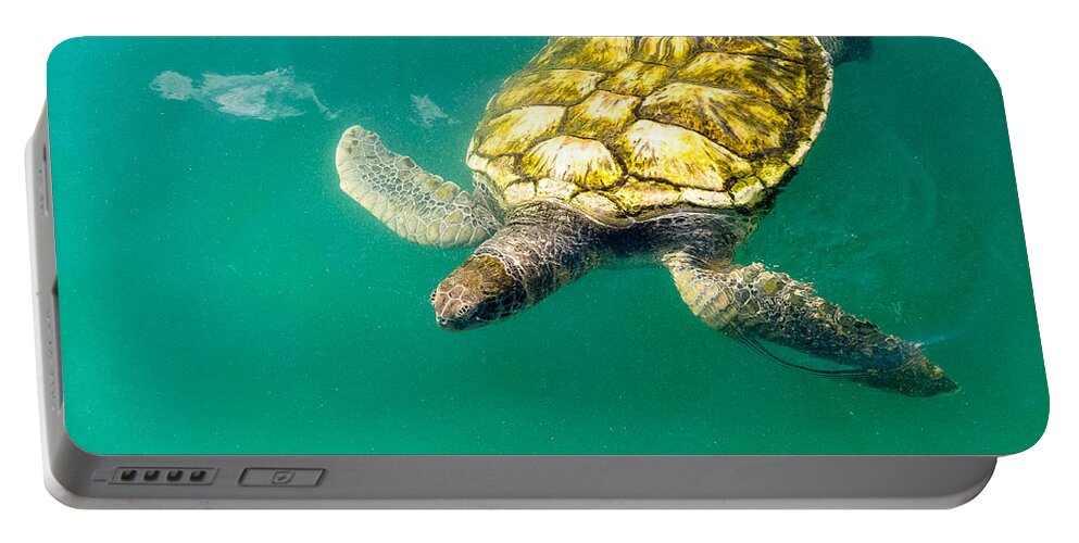 Caribbean Portable Battery Charger featuring the photograph Cayman Island Sea Turtle by Lars Lentz