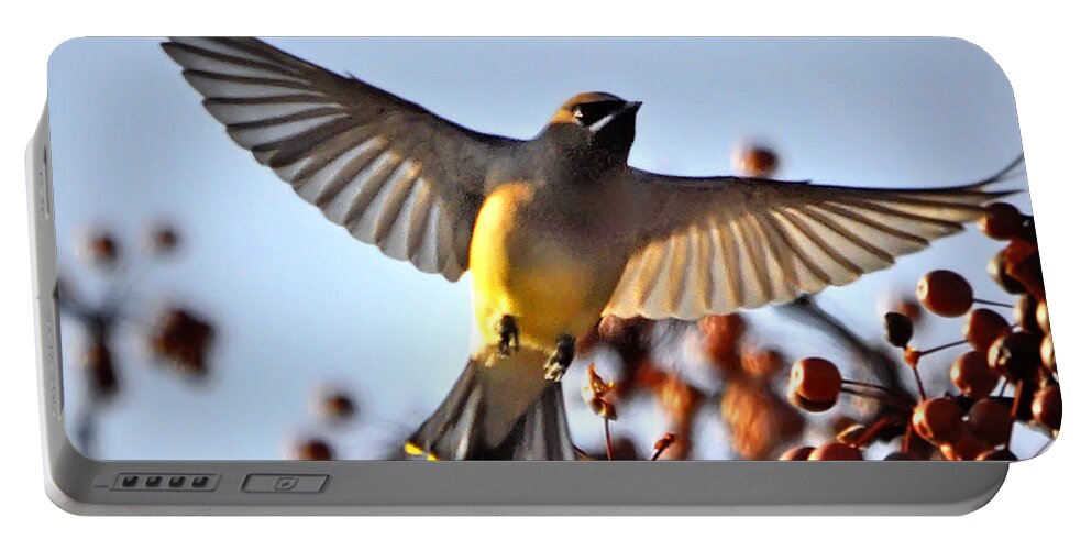 Nature Portable Battery Charger featuring the photograph Cedar Waxwing Flight by Nava Thompson