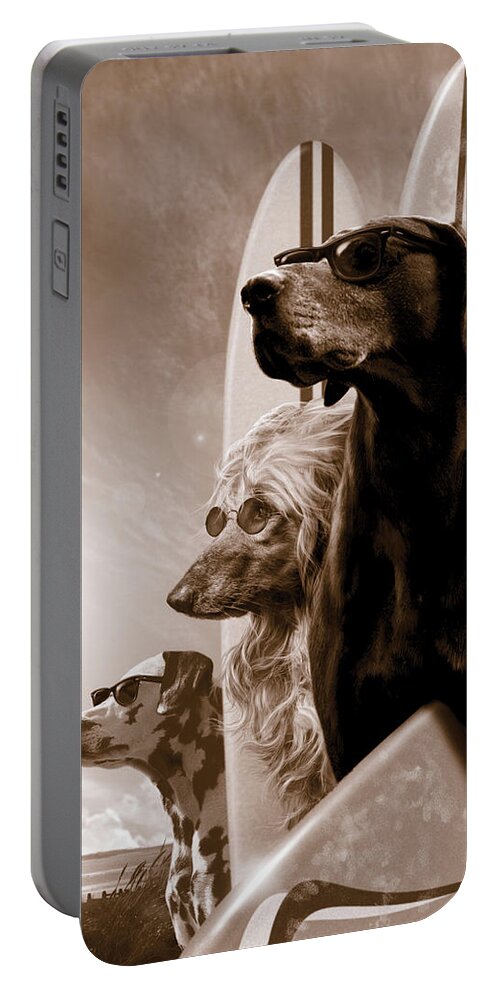 Animal Portable Battery Charger featuring the photograph Changes by MGL Meiklejohn Graphics Licensing