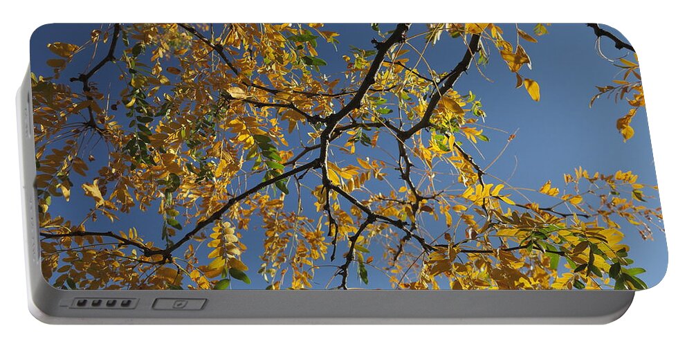 Autumn Portable Battery Charger featuring the photograph Changing by Jessica Myscofski