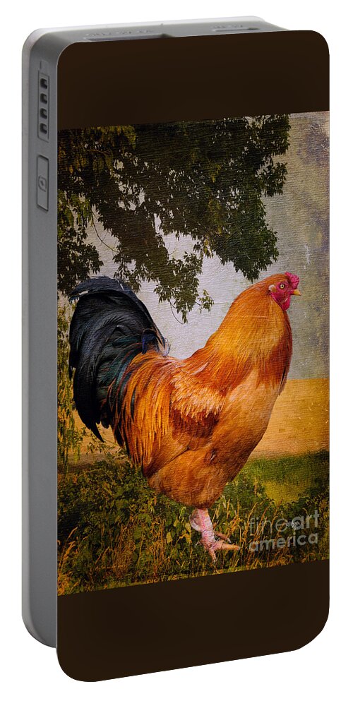 Chanticleer Portable Battery Charger featuring the photograph Chanticleer In Blue by Lois Bryan