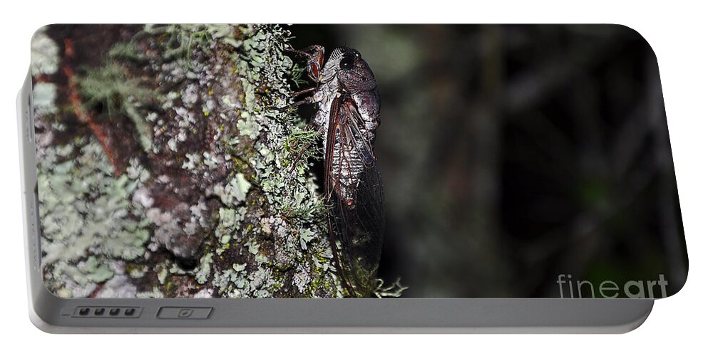 Annual Cicada Portable Battery Charger featuring the photograph Charming Cicada by Al Powell Photography USA