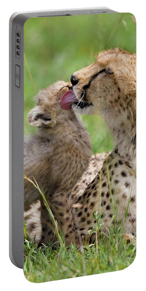 00761467 Portable Battery Charger featuring the photograph Cheetah Grooming Her Cub by Suzi Eszterhas