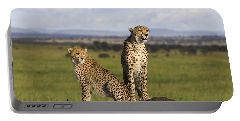 Suzi Eszterhas Portable Battery Charger featuring the photograph Cheetah Mother And Cub Masai Mara by Suzi Eszterhas