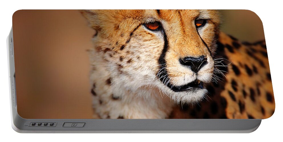 Cheetah Portable Battery Charger featuring the photograph Cheetah portrait by Johan Swanepoel
