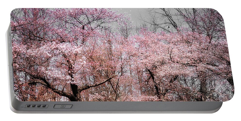 Spring Portable Battery Charger featuring the photograph Cherry Blossom Trees by Elaine Manley