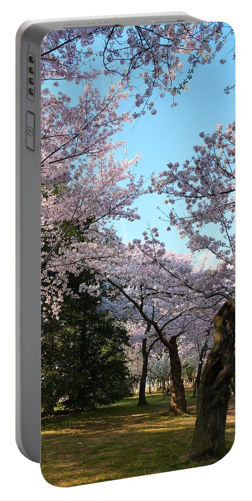 Architectural Portable Battery Charger featuring the photograph Cherry Blossoms 2013 - 043 by Metro DC Photography