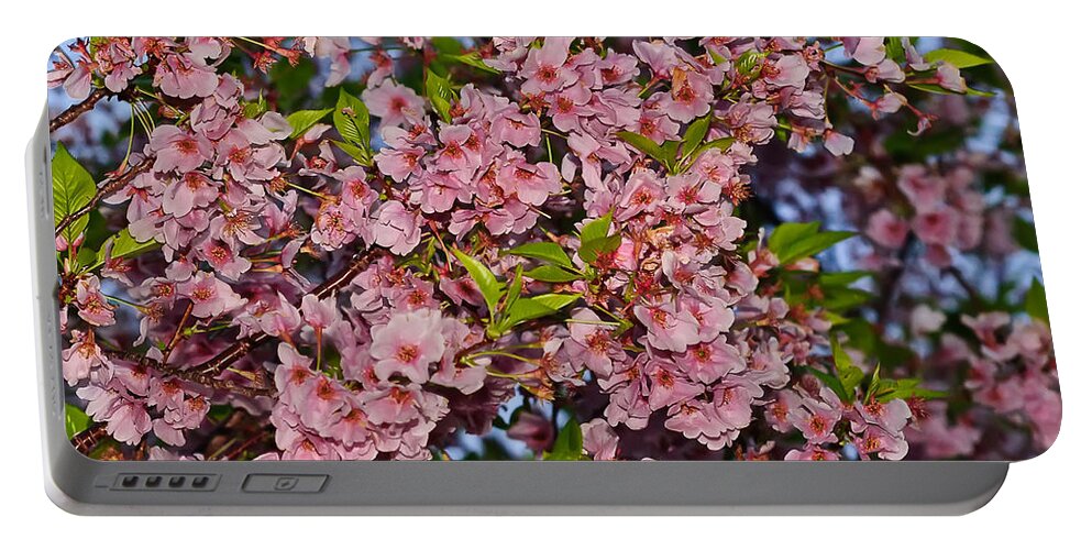 America Portable Battery Charger featuring the photograph Cherry Blossoms in Our Nation's Capital by Mitchell R Grosky