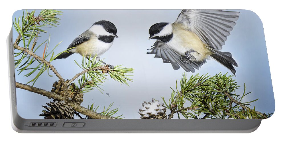 Black Capped Chickadees Portable Battery Charger featuring the photograph Chickadee Chums by Peg Runyan