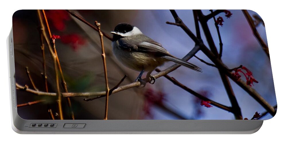 Chickadee Portable Battery Charger featuring the photograph Chickadee by Robert L Jackson