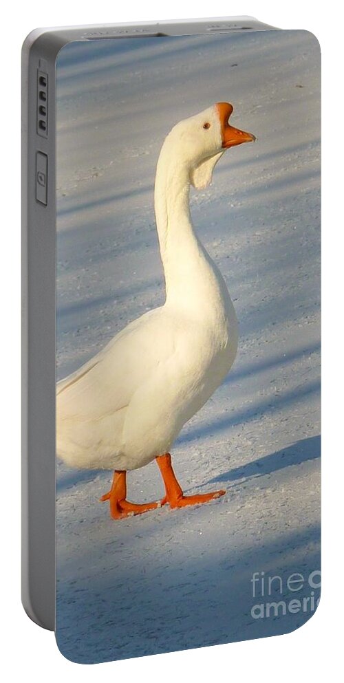 Goose Portable Battery Charger featuring the photograph Chinese Goose Winter by Susan Garren