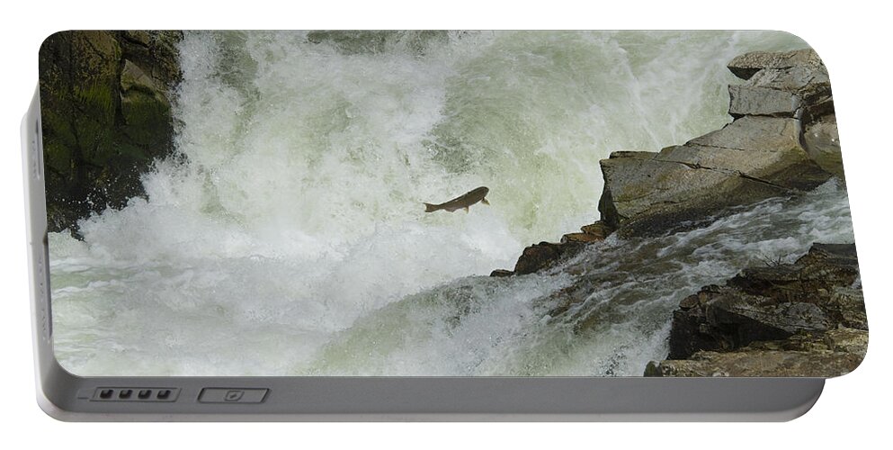 Nature Portable Battery Charger featuring the photograph Chinook Salmon by William H. Mullins