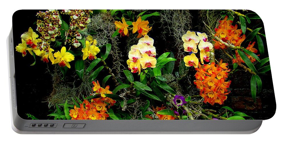 Fine Art Portable Battery Charger featuring the photograph Chorus by Rodney Lee Williams