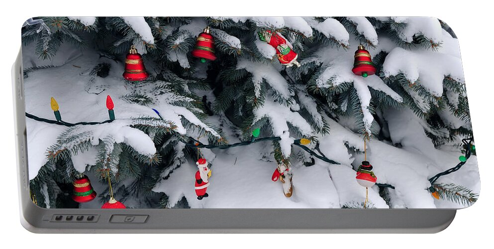 Christmas Portable Battery Charger featuring the photograph Christmas decorations in snow by Elena Elisseeva