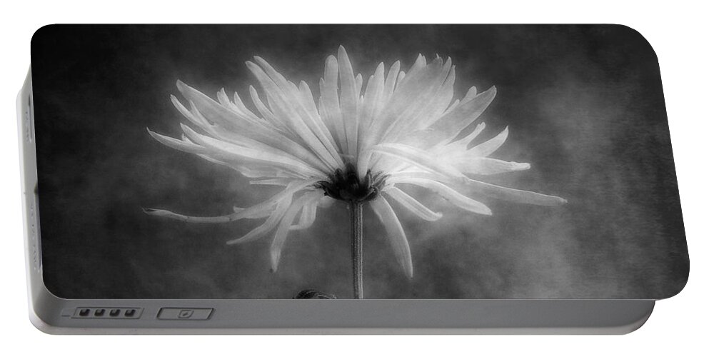 Chrysanthemums Portable Battery Charger featuring the photograph Chrysanthemum in Black and White by Louise Kumpf