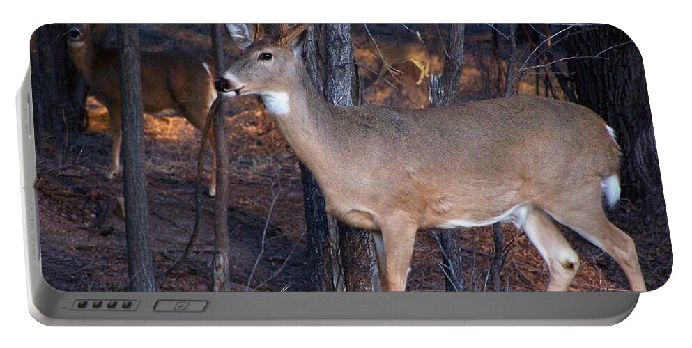Deer Portable Battery Charger featuring the photograph Clear Shot by Bill Stephens