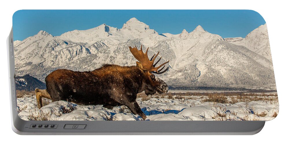 Moose Portable Battery Charger featuring the photograph Clearing Sky by Kevin Dietrich