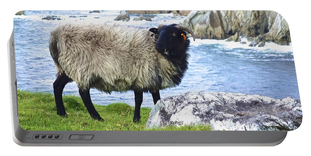 Sheep Portable Battery Charger featuring the photograph Clew Bay Sheep by Norma Brock