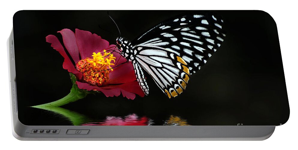 Butterfly Portable Battery Charger featuring the photograph Cliche on Burgundy by Lois Bryan