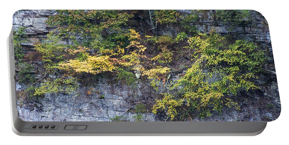 Fort Payne Portable Battery Charger featuring the photograph Cliff Hanging by Bob Phillips